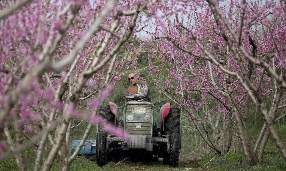 Επιστροφή Ειδικού Φόρου Κατανάλωσης στο πετρέλαιο κίνησης για 200.000 αγρότες το 2022